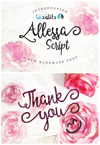 Allessa Script دانلود مجموعه فونت انگلیسی Allessa Script Font 