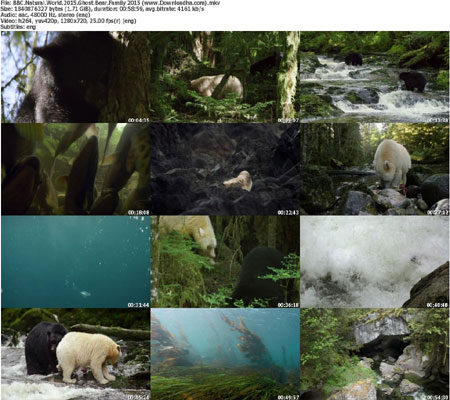 BBC.Natural.World.2015.Ghos دانلود مستند BBC Natural World – Ghost Bear Family 2015