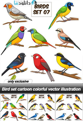 Bird set cartoon colorful vector illustration Vector دانلود مجموعه Bird set cartoon colorful Vector 