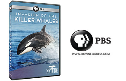 Invasion of the Killer Whales  دانلود مستند Invasion of the Killer Whales 2014