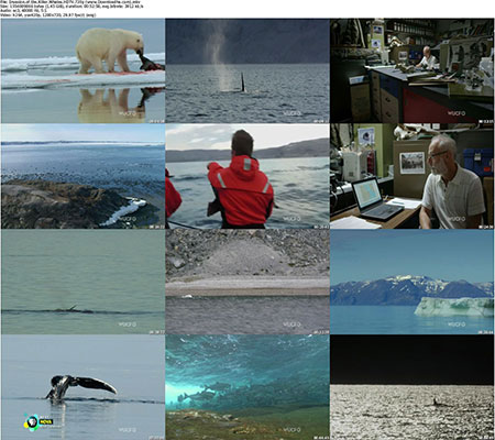 Invasion.of.the.Killer.Whales.HDTV.720p %28www.Downloadha.com%29 s  دانلود مستند Invasion of the Killer Whales 2014