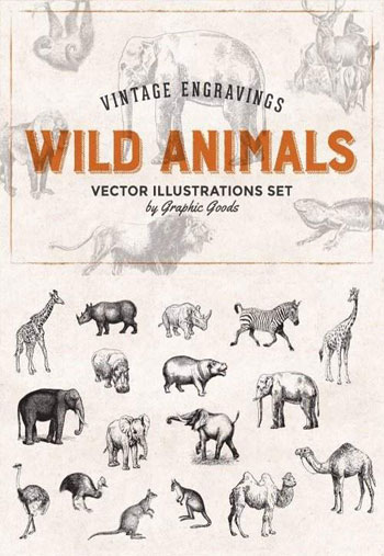 Wild-Animals-Engravings