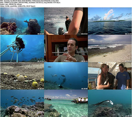 Journey.To.Shark.Eden.2010.BluRay.720p دانلود مستند سفر به بهشت کوسه ها Journey To Shark Eden 2010