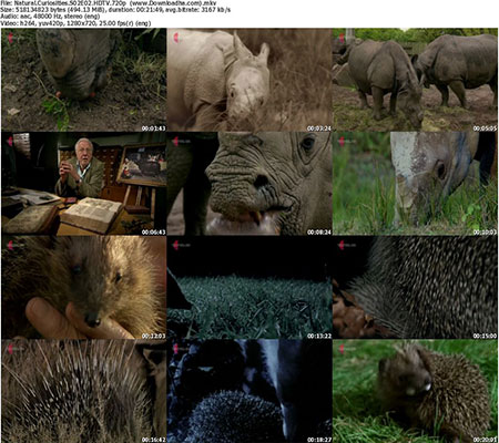 Natural.Curiosities.S02E02.HDTV.720p %28www.Downloadha.com%29 s دانلود فصل دوم مستند Natural Curiosities