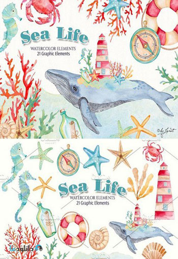 Sea-Life-Watercolor