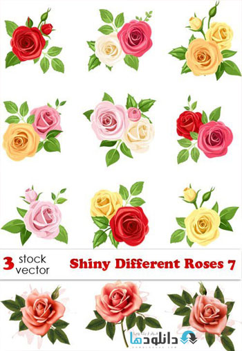 دانلود مجموعه Shiny Different Roses Vector