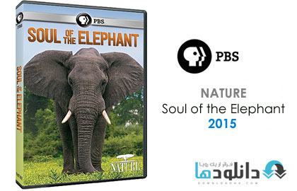 Soul of the Elephant دانلود مستند NATURE: Soul of the Elephant 2015