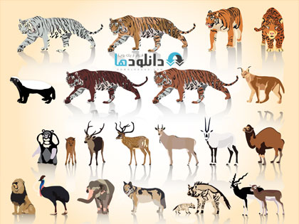 animal دانلود تصاویر وکتور حیوانات باغ وحش، فیل، زرافه، شیر و ... Vectors Wild Different Animals 