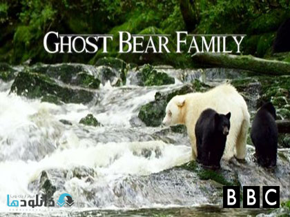 ghost bear family دانلود مستند BBC Natural World – Ghost Bear Family 2015