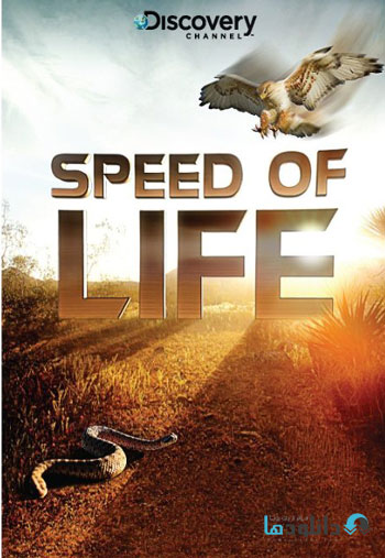 speed of life دانلود مستند 2010 Speed Of Life