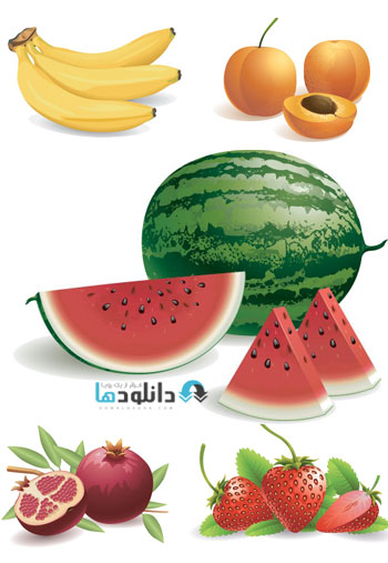 summer fruit  دانلود تصاویر وکتور میوه   Fruit Collection 