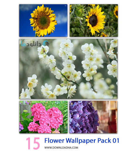 15 Flower Wallpaper Pack 01 Cover%28Downloadha.com%29 دانلود مجموعه 15 والپیپر با موضوع گل