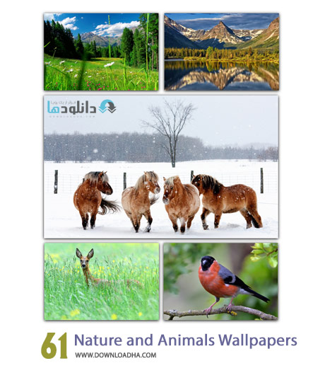 Nature and Animals Wallpapers Cover%28Downloadha.com%29 دانلود 61 والپیپر طبیعت و حیوانات Nature and Animals Wallpapers