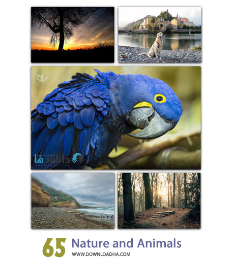 Nature and Animals %28Downloadha.com%29 دانلود مجموعه 65 والپیپر طبیعت و حیوانات Nature and Animals