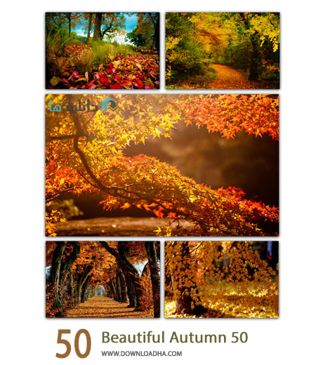 50 Beautiful Autumn Cover%28Downloadha.com%29 دانلود مجموعه 50 والپیپر پاییزی