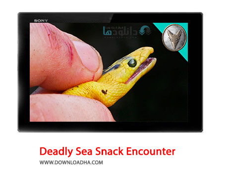 Deadly Sea Snack Encounter Cover%28Downloadha.com%29 دانلود کلیپ مارهای کشنده و سمی دریایی