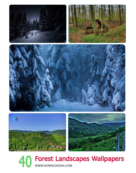 40 Forest Landscapes Wallpapers Cover%28Downloadha.com%29 دانلود مجموعه 40 والپیپر زیبا و عریض از جنگل ها