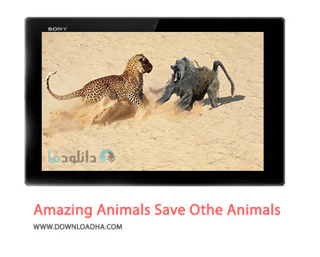 Amazing Animals Save Othe Animals Cover%28Downloadha.com%29 دانلود کلیپ نجات حیوانات توسط یکدیگر