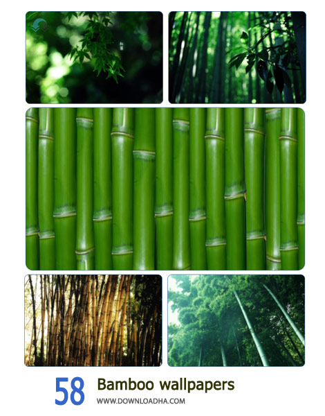 58 Bamboo wallpapers Cover%28Downloadha.com%29 دانلود مجموعه 58 والپیپ</div></noscript>
<div id=