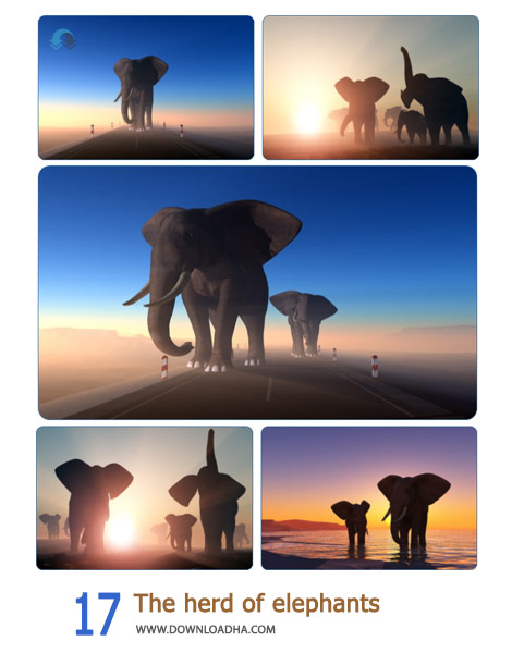 17 The herd of elephants Wallpapers Cover%28Downloadha.com%29 دانلود مجموعه 17 والپیپر گله فیل ها