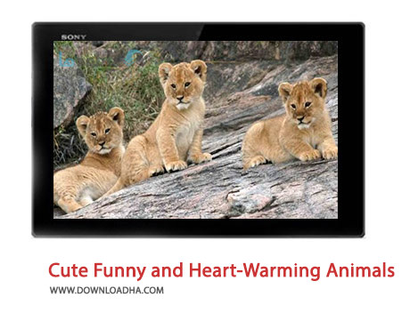 Cute Funny and Heart Warming Animals Cover%28Downloadha.com%29 دانلود کلیپ حیوانات بامزه و دلگرم