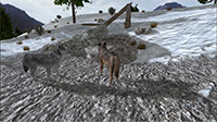 Wolfquest screenshots 02 small دانلود بازی WolfQuest برای PC