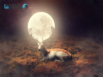 deer-of-moon