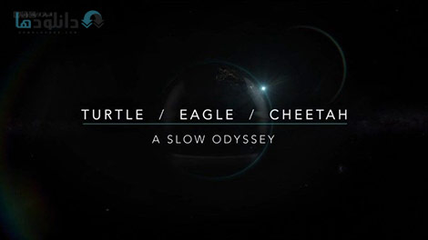 دانلود-مستند-BBC-Turtle-Eagle-Cheetah-A-Slow-Odyssey