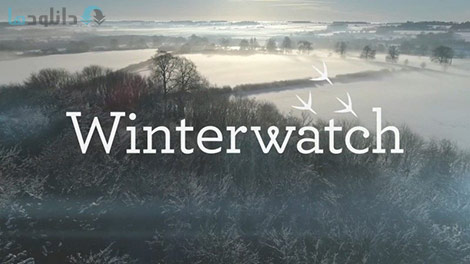 دانلود-مستند-BBC-Winterwatch