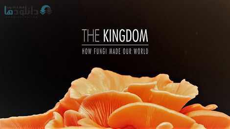 دانلود-مستند-The-Kingdom-How-Fungi-Made-Our-World