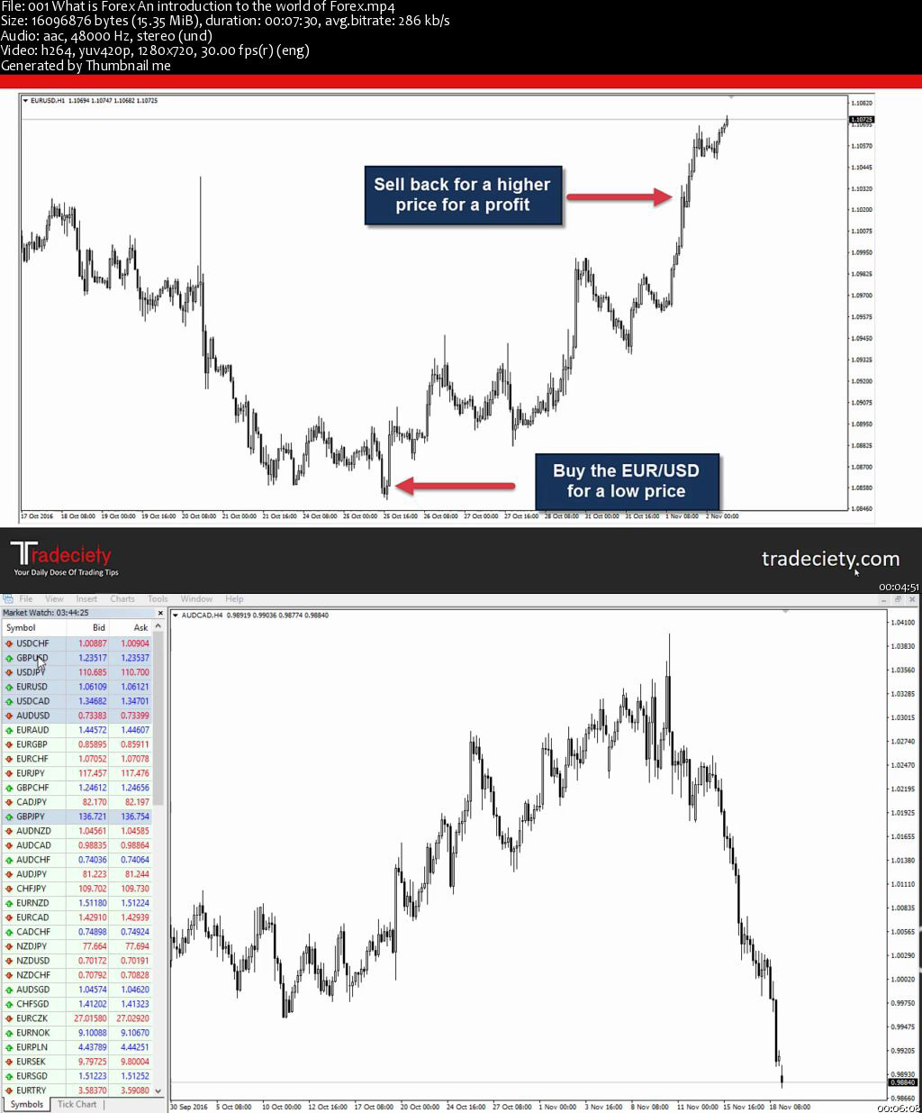 Become forex broker