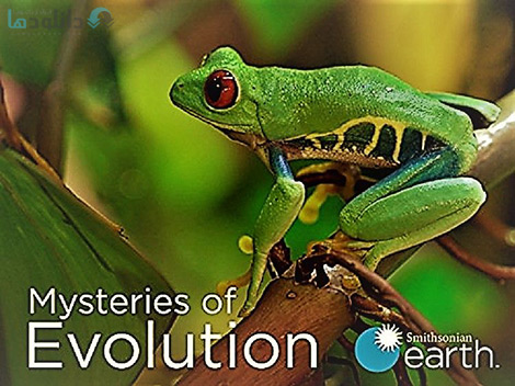 کاور-Mysteries-of-Evolution