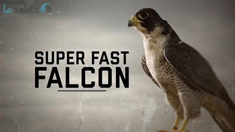 کاور-مستند-Super-Fast-Falcon