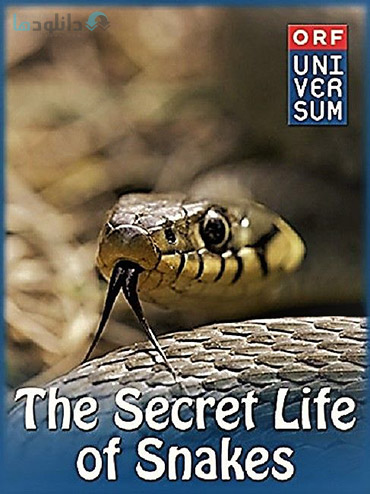 کاور-The-Secret-Life-of-Snakes