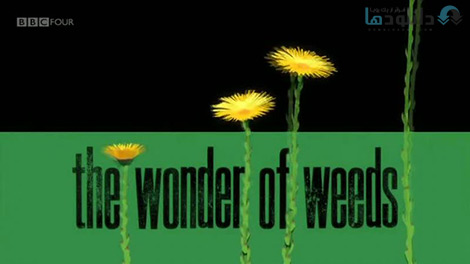 کاور-The-Wonder-of-Weeds