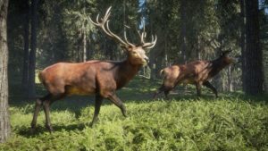 تحميل لعبة محاكي الصياد TheHunter Call of the Wild Bloodhound للكمبيوتر