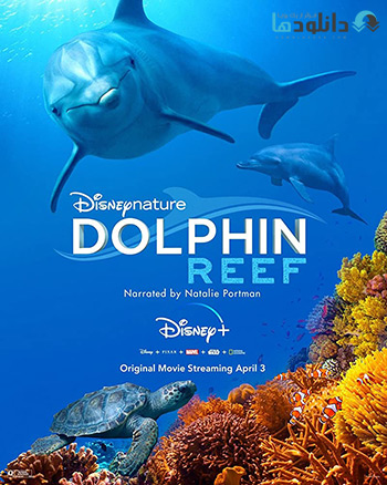 دانلود مستند تپهی دلفین Dolphin Reef 2020 – کیفیت اولترا اچ دی 2160p 4K | دانلود download