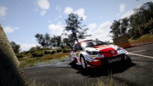 اسکرین-شات-بازی-WRC-10