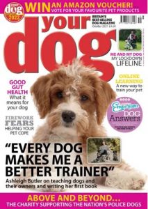 مجله-Your-Dog
